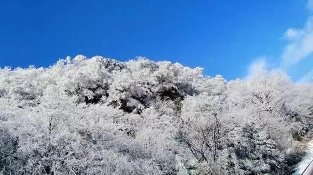 燃烧吧大脑装瓶子游戏