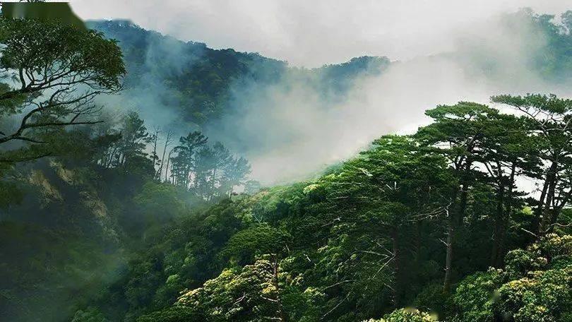 逗小猴开心系列202